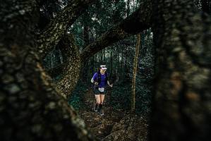 BIB: 
                            <button type="button" onclick="openModal(25677652)" class="btn btn-primary btn-sm float-right btn-popup" data-toggle="modal" data-target=".modal-high-quality">
                        <i class="fas fa-shopping-cart"></i> Add to Cart
                    </button>
                                            <button type="button" onclick="isThisMe(25677652, true)" class="btn btn-success btn-sm float-right btn-popup btn-isme hidden" data-toggle="tooltip" data-placement="bottom" title="นี่คือรูปของคุณใช่ไหม คลิกที่นี่เพื่อเอาเข้าอัลบั้ม">
                        <i class="fas fa-plus"></i> Add to album
                    </button>
                    <button type="button" onclick="isThisMe(25677652, false)" class="btn btn-warning btn-sm float-right btn-popup btn-isnotme hidden">
                        <i class="fas fa-ban"></i> Remove from album
                    </button>